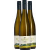 Rinke 2020 3er Bündel Wiltinger Klosterberg Saar Riesling Alte Reben feinherb von Weingut Rinke