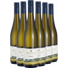 Rinke 2021 Paket Wild auf Schiefer® Saar-Riesling Kabinett trocken von Weingut Rinke