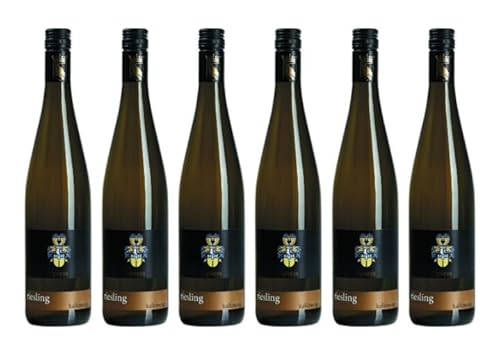 6x 0,75l - 2022er - Weingut Spiess - Kalkmergel - Riesling - Qualitätswein Rheinhessen - Deutschland - Weißwein trocken von Weingut Spiess