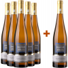 Spreitzer 2023 5+1 Paket Riesling Oestricher Klosterberg \"Alte Rebe\"" trocken" von Weingut Spreitzer