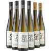 Potzinger 2023 Sauvignon Blanc Paket von Weingut Stefan Potzinger