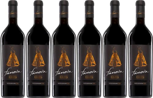 6x Primitivo Fanova Riserva 2019 - Weingut Terrecarsiche 1939, Puglia - Rotwein von Weingut Terrecarsiche 1939