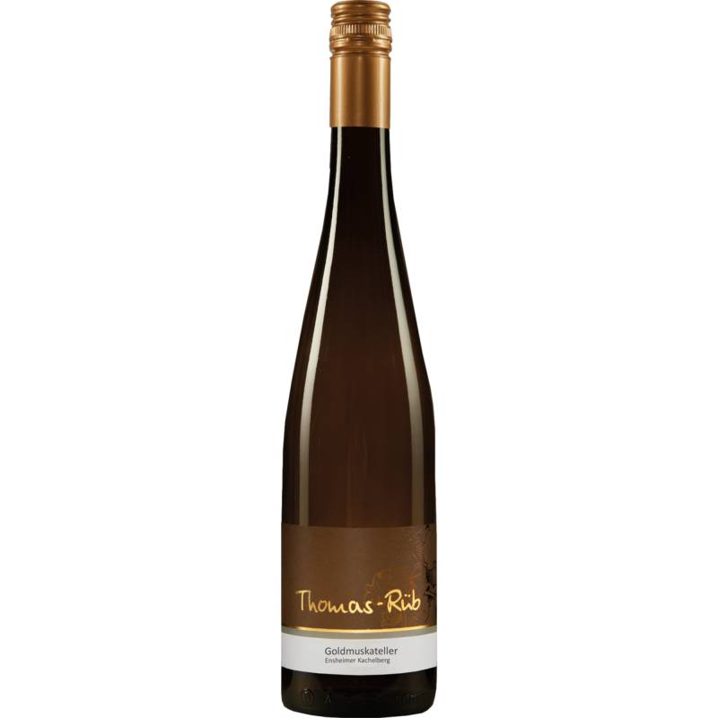 Thomas-Rüb Goldmuskateller QbA, Feinherb, Rheinhessen, Rheinhessen, 2023, Weißwein von Weingut Thomas-Rüb, Falterweg 6, 55237 Flonheim DE