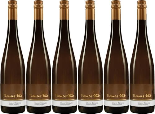 6x Riesling Auslese -edelsüß- 2023 - Weingut Thomas-Rüb, Rheinhessen - Weißwein von Weingut Thomas-Rüb