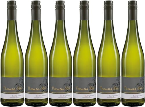 6x Riesling feinherb 2023 - Weingut Thomas-Rüb, Rheinhessen - Weißwein von Weingut Thomas-Rüb