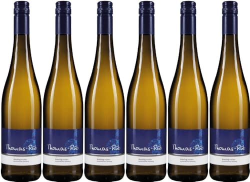 6x Riesling trocken 2023 - Weingut Thomas-Rüb, Rheinhessen - Weißwein von Weingut Thomas-Rüb