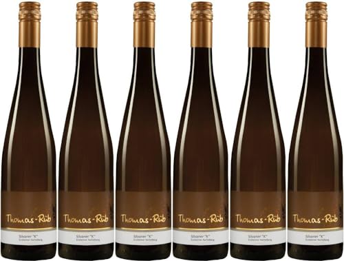 6x Silvaner 'K' 1422 trocken 2023 - Weingut Thomas-Rüb, Rheinhessen - Weißwein von Weingut Thomas-Rüb