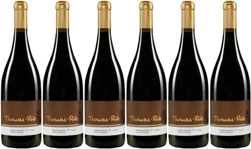 6x Spätburgunder 'K' trocken 2022 - Weingut Thomas-Rüb, Rheinhessen - Rotwein von Weingut Thomas-Rüb