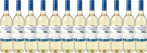 12x Sauvignon Blanc 2023 - Weingut Two Oceans, Western Cape - Weißwein von Weingut Two Oceans
