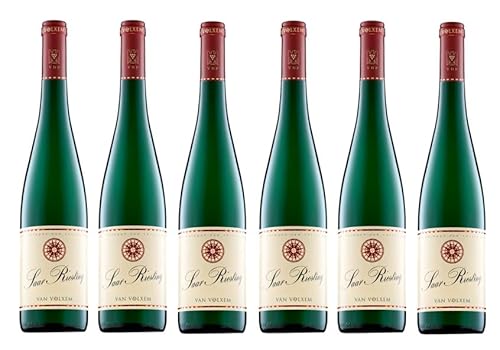 6x 0,75l - 2023er - Weingut Van Volxem - Saar - Riesling - VDP.Gutswein - Qualitätswein Mosel - Deutschland - Weißwein trocken von Weingut Van Volxem