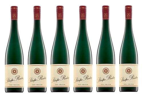 6x 0,75l - 2023er - Weingut Van Volxem - Schiefer - Riesling - VDP.Gutswein - Qualitätswein Mosel - Deutschland - Weißwein trocken von Weingut Van Volxem