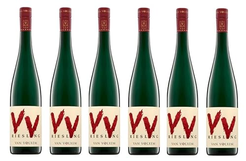 6x 0,75l - 2023er - Weingut Van Volxem - VV - Riesling - feinherb - Qualitätswein Mosel - Deutschland - Weißwein halbtrocken von Weingut Van Volxem