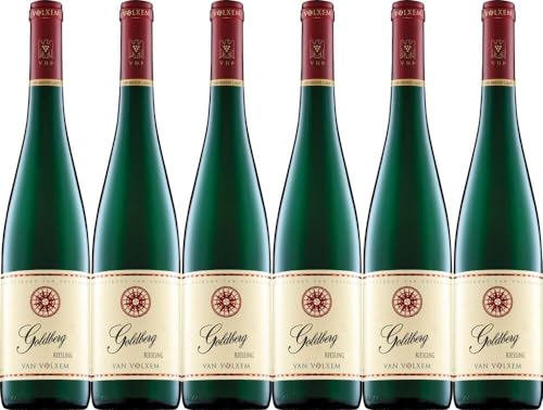 6x Van Volxem Goldberg Riesling Großes Gewächs 2022 - Weingut Van Volxem, Mosel - Weißwein von Weingut Van Volxem