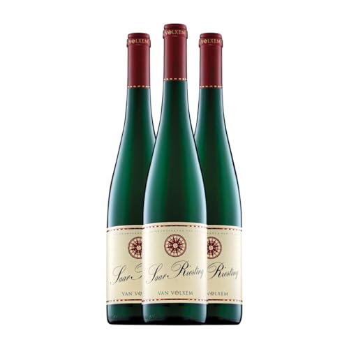 Van Volxem Riesling Trocken Mosel-Saar-Ruwer 75 cl Weißwein (Karton mit 3 Flaschen von 75 cl) von Weingut Van Volxem