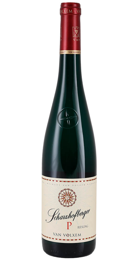 Van Volxem Scharzhofberger Pergentsknopp Riesling Grosses Gewächs (GG) 2022 von Weingut Van Volxem