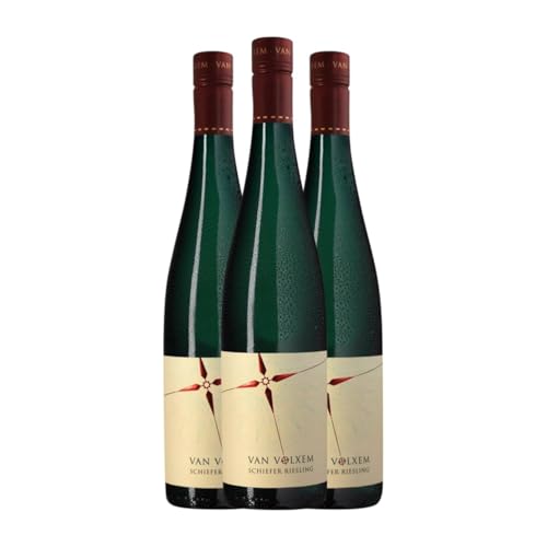 Van Volxem Schiefer Riesling Trocken Mosel 75 cl Weißwein (Karton mit 3 Flaschen von 75 cl) von Weingut Van Volxem