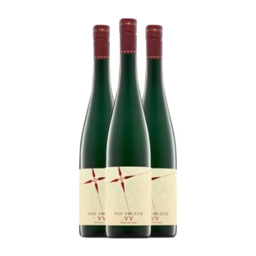 Van Volxem VV Riesling Trocken Mosel-Saar-Ruwer 75 cl Weißwein (Karton mit 3 Flaschen von 75 cl) von Weingut Van Volxem