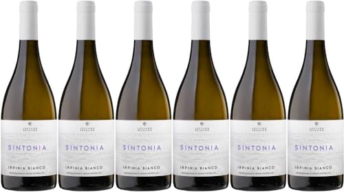 6x Sintonia Irpinia Bianco 2022 - Weingut Vinosia, Campania - Weißwein von Weingut Vinosia