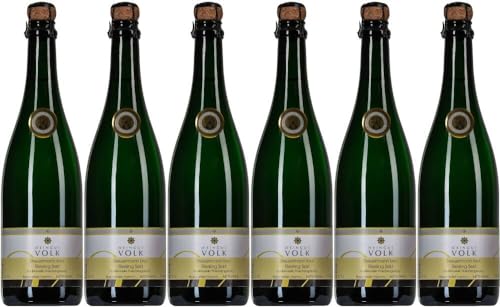 6x Steuermann Riesling Sekt brut 2019 - Weingut Volk - Weißwein von Weingut Volk