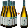 Weinwurm 2024 5+1 Paket Asia Blend Cuvée weiß trocken von Weingut Weinwurm