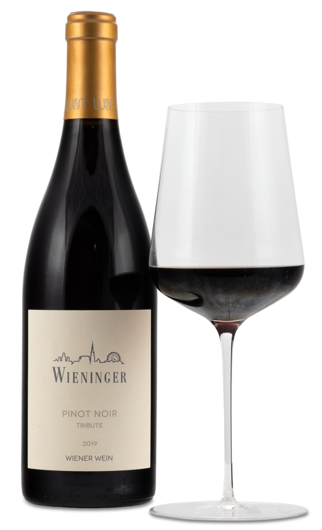 2019 Pinot Noir Tribute von Weingut Wieninger