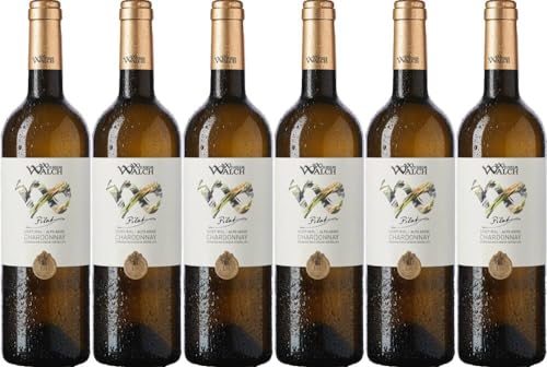 6x Wilhelm Walch Chardonnay 'Pilat' 2023 - Weingut Wilhelm Walch, Südtirol - Weißwein von Weingut Wilhelm Walch