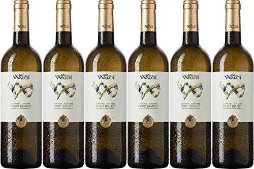 6x Wilhelm Walch Pinot Bianco 2023 - Weingut Wilhelm Walch, Südtirol - Weißwein von Weingut Wilhelm Walch