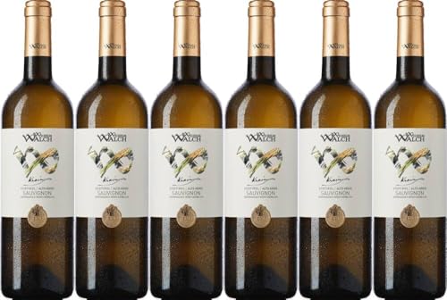 6x Wilhelm Walch Sauvignon 'Krain' 2022 - Weingut Wilhelm Walch, Südtirol - Weißwein von Weingut Wilhelm Walch