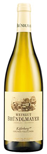 Weingut Willi Bründlmayer grüner Veltliner Reserve Käferberg 2020 trocken (1 x 0.75 l) von Weingut Willi Bründlmayer