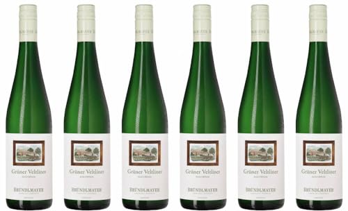 6x Bründlmayer Grüner Veltliner Hauswein 2023 - Weingut Willi Bründlmayer, Kamptal - Weißwein von Weingut Willi Bründlmayer