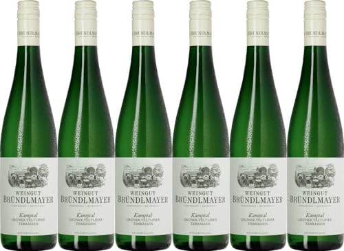 6x Bründlmayer Grüner Veltliner 'Terrassen' DAC 2023 - Weingut Willi Bründlmayer, Kamptal - Weißwein von Weingut Willi Bründlmayer