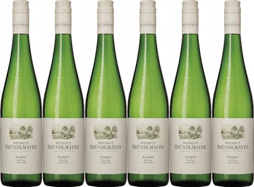 6x Bründlmayer Riesling Kamptal Terassen Qualitätswein Trocken 2023 - Weingut Willi Bründlmayer, Kamptal - Weißwein von Weingut Willi Bründlmayer