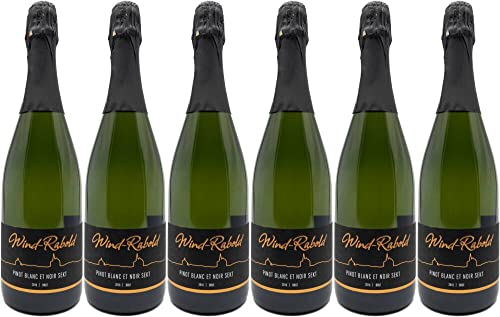 6x Pinot Sekt brut -Blanc de Noir- 2022 - Weingut Wind-Rabold, Pfalz - Weißwein von Weingut Wind-Rabold