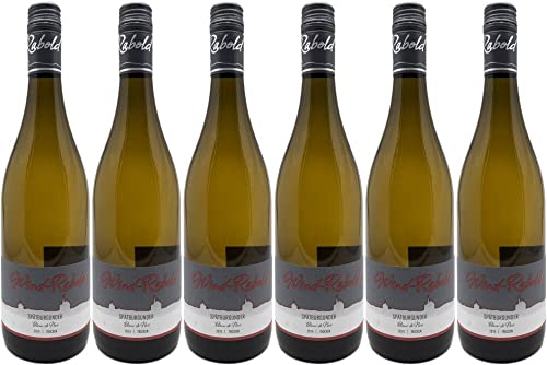 6x Spätburgunder Blanc de Noir trocken 2023 - Weingut Wind-Rabold, Pfalz - Weißwein von Weingut Wind-Rabold