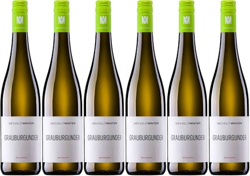 6x VdP. Gutswein Grauburgunder trocken 2023 - Weingut Winter (Rheinhessen), Rheinhessen - Weißwein von Weingut Winter (Rheinhessen)