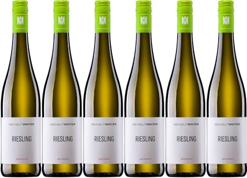 6x VdP. Gutswein Riesling trocken 2023 - Weingut Winter (Rheinhessen), Rheinhessen - Weißwein von Weingut Winter (Rheinhessen)