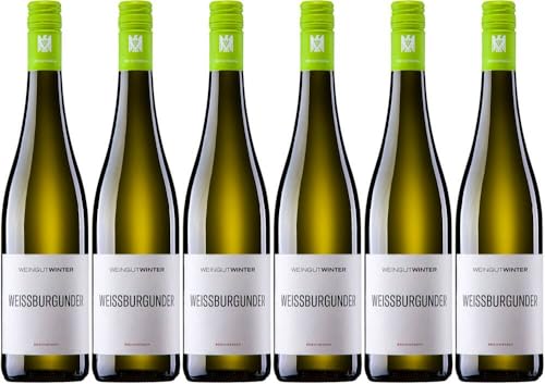 6x VdP. Gutswein Weissburgunder trocken 2023 - Weingut Winter (Rheinhessen), Rheinhessen - Weißwein von Weingut Winter (Rheinhessen)