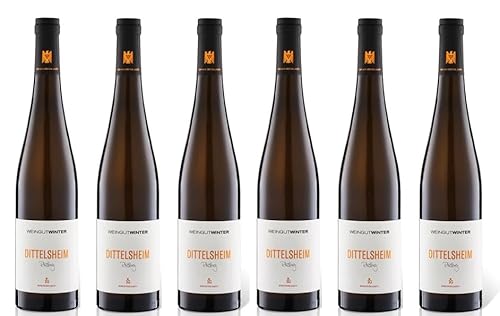 6x 0,75l - 2019er - Weingut Winter - Dittelsheim - Riesling 1G - VDP.aus Ersten Lagen - Qualitätswein Rheinhessen - Deutschland - Weißwein trocken von Weingut Winter