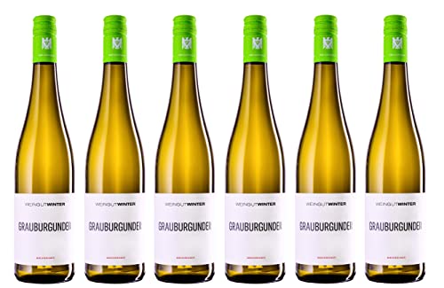 6x 0,75l - 2023er - Weingut Winter - Grauburgunder - VDP.Gutswein - Qualitätswein Rheinhessen - Deutschland - Weißwein trocken von Weingut Winter