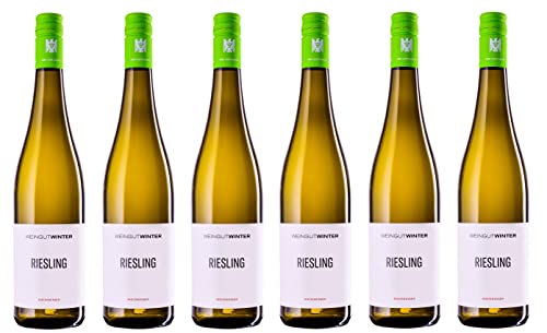 6x 0,75l - 2023er - Weingut Winter - Riesling - VDP.Gutswein - Qualitätswein Rheinhessen - Deutschland - Weißwein trocken von Weingut Winter