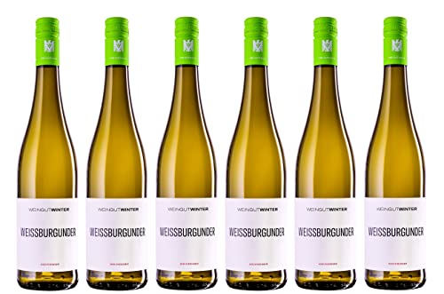 6x 0,75l - 2023er - Weingut Winter - Weißburgunder - VDP.Gutswein - Qualitätswein Rheinhessen - Deutschland - Weißwein trocken von Weingut Winter