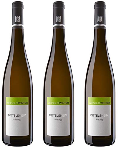 Weingut Winter VDP.ORTSWEIN Dittelsheim Riesling Kalkstein 0,75l von Weingut Winter