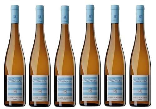 6x 0,75l - 2023er - Weingut Wittmann - Grauer Burgunder - VDP.Gutswein - Qualitätswein Rheinhessen - Deutschland - Weißwein trocken von Weingut Wittmann