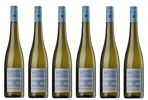 6x 0,75l - 2023er - Weingut Wittmann - Weißer Burgunder - VDP.Gutswein - Qualitätswein Rheinhessen - Deutschland - Weißwein trocken von Weingut Wittmann