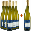 Zehnthof Kruger 2023 5+1 Sauvignon Blanc Paket trocken von Weingut Zehnthof Kruger