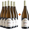 Zöhrer 2022 5+1 Paket Grüner Veltliner trocken von Weingut Zöhrer