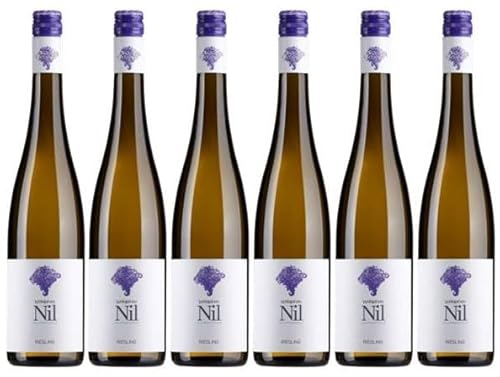 6 Flaschen Riesling tr. 2022 von Weingut am Nil im Sparpack (6x0,75l), trockener Weißwein aus der Pfalz von Weingut am Nil