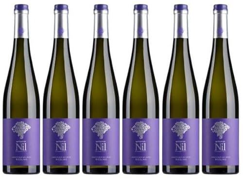 6 x Ungsteiner Weilberg Riesling tr. 2020 von Weingut am Nil im Sparpack (6x0,75l), trockener Weißwein aus der Pfalz von Weingut am Nil