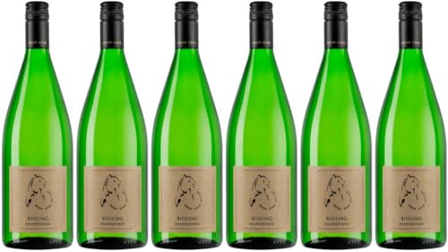 6x Riesling 2023 - Weingut & Gästehaus Beyer-Bähr, Rheinhessen - Weißwein von Weingut & Gästehaus Beyer-Bähr