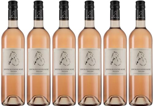 6x Spätburgunder Rosé 2022 - Weingut & Gästehaus Beyer-Bähr, Rheinhessen - Rosé von Weingut & Gästehaus Beyer-Bähr